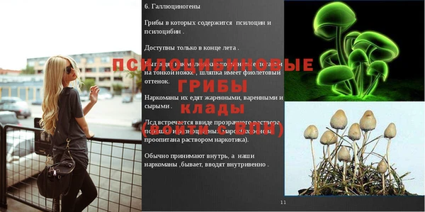 скорость Абинск